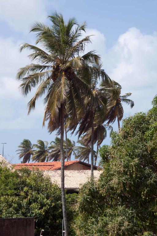João Pessoa Brisol Hotel מראה חיצוני תמונה